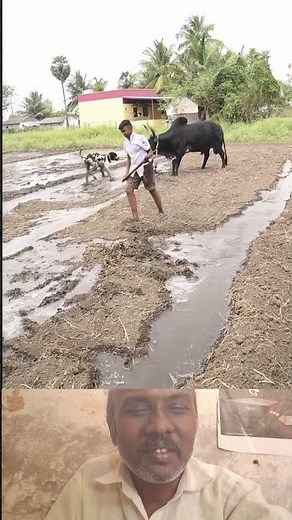 gathu soolal alagu #farming #villagelife #farmer #agriculture #shorts #viral #nature #respectfarmers