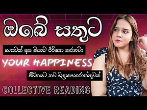 විශේශ දේවල් ගොඩක් වෙනවා❤️ඔබේ ජීවිතයට සතුට එන විදිහ ✨️ Your Happiness Collective Tarot Reading