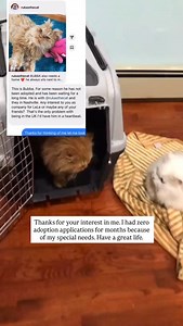 68K views · 9.5K reactions | I'd choose you every time. Can't believe...