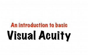 Visual Acuity in 5 min