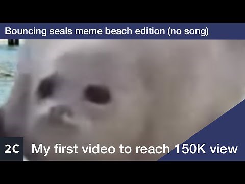Bouncing seals meme beach edition (no song)