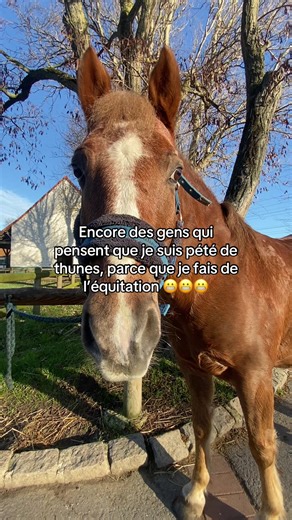 Vidéos de Rachel.h66 (@rachel.h633) avec son original - WIXO & LA2S