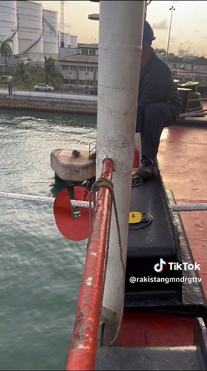 Protect Your Home with Rat Guard - Jerry the Mall Rat