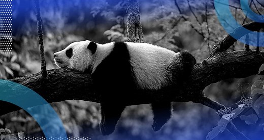 How to Rename Columns in Pandas | Built In