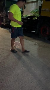 536 reactions · 35 shares | STRESS FREE dog ownership? Let us help...