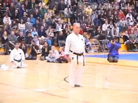 Sensei Morio Higaonna Suparinpei et techniques Goju-ryu Démonstration IOGKF Pays-Bas | Skat Shodokan