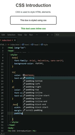 CSS Introduction Explained | What is CSS in 1 Minute | The Creative Developer