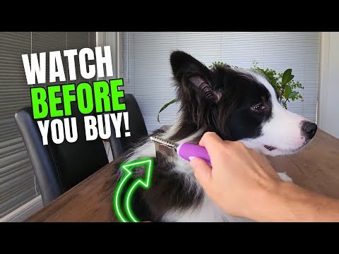 How the Poodle Pet Fur Rake Comb Makes Grooming Easy