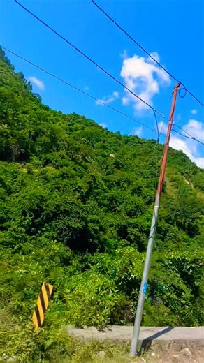 Nature Calling… I Had to Go 🌿✨ #nature #travel #mountains #uttarakhand #hills ⛰️