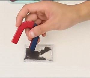 Labs Junior Science Magnetism Set for Experiment Education, Science Experiment Tool Physics Educational Toys for Kids Teen Including Bar/Horseshoe/Ring Magnets/Compass