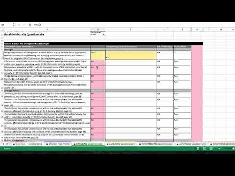 Bedel Security Cybersecurity Assessment Tool 3_1
