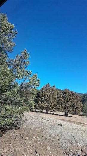 Voice of Command ..Command Peace not Understanding. PEACE #silentunity #listenfirst #listendeeply