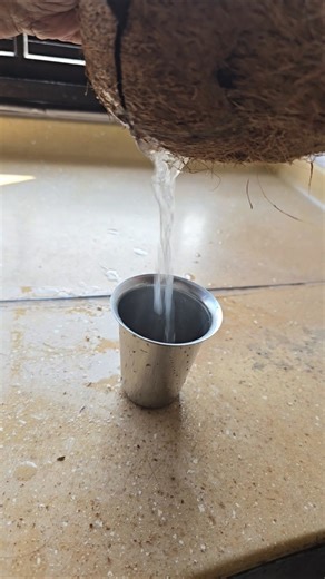 இது எப்படி திமிங்கலம்🐳 | #shorts #ytshorts #funnyshorts #comedy #trend #viral #reels #voiceeffects