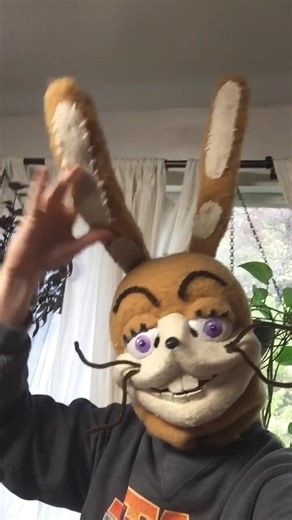 Jessica Lowe on TikTok