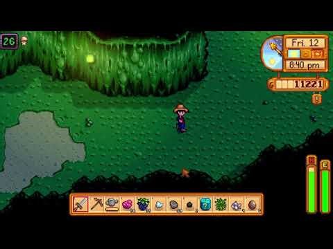 Day 64 Stardew valley