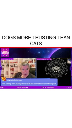 the psychic reader on TikTok