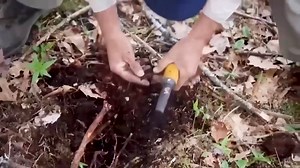 A Sudden Collapse on Oak Island Exposes the Shocking Cost of Rick Lagina Grand Operation | Rick and Marty Lagina Family Fans