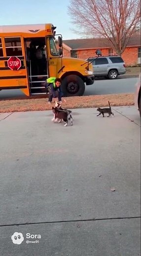 Loyalty has no limits. #viral #fyp #emotional #cute #dog