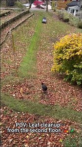 🍂 let your Mowrator handle the cleanup for you！