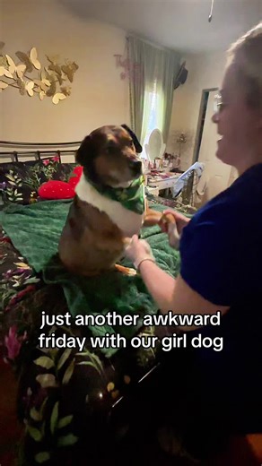 she lets us do whatever we want to her😂💚 #awkwarddog #awk #dogsoftiktok #funnydog #silly @green bean
