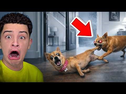 THE EVIL TWIN STOLE MY DOG!