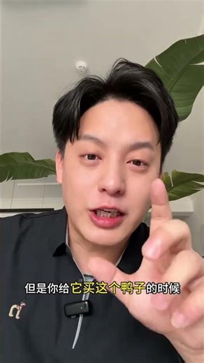 Viral Dog Toy Takes the Internet by Storm