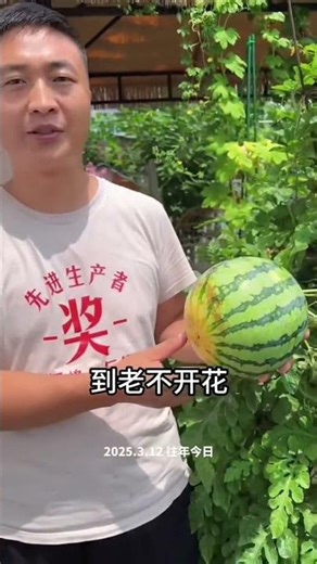 Learn a rhyming rhyme for growing vegetables, and you'll have a high yie