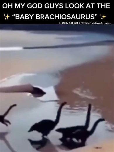 I FOUND BRACHIOSAURUS IRL 🤯🦕 #dinosaurs #funny #viral