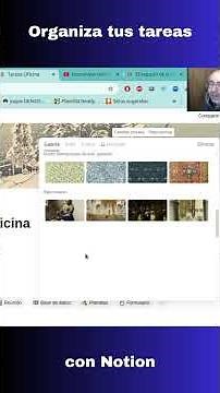 Cómo Organizar Tu Trabajo Con Notion