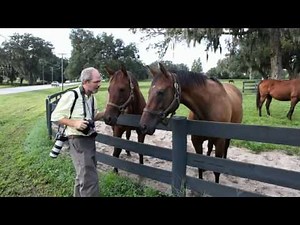 Eye-Fi photos in a flash