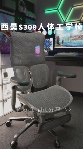 西昊S300人体工学椅电脑椅护腰办公椅子人工力学座椅电竞椅一体头枕