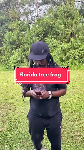 Florida Tree Frog Encounter: Hilarious Interaction