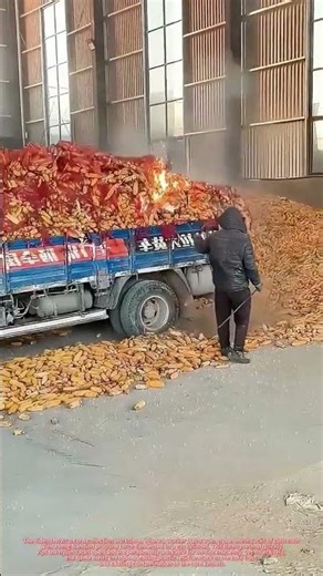Propane Torch Opens Corn Sacks Fast, But Molten Nylon Ruins the Corn Kernels