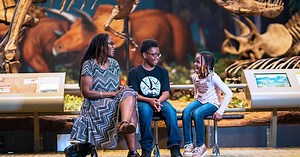 Insider's Guide: Carnegie Museum of Natural History | Visit Pittsburgh