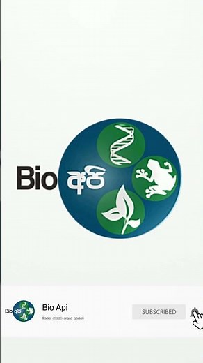 ගෙම්බෙක් හැදෙන හැටි තප්පර 28කින් බලමුද ? 😯🐸🌱 Life Cycle of a Frog - Stages of Frog | BioApi #shorts