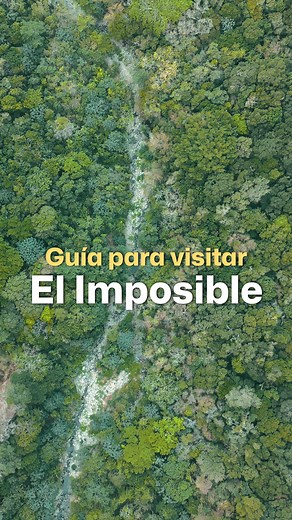 Te compartimos una guía para visitar: Parque Nacional El Imposible 🌱✨ Un lugar en El Salvador donde la naturaleza calma el alma y te conecta con la belleza de nuestro país. 🇸🇻 | Gobierno de El Salvador