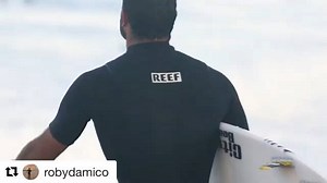 1.5K views · 12 reactions | Legends say that @robydamico can catch...