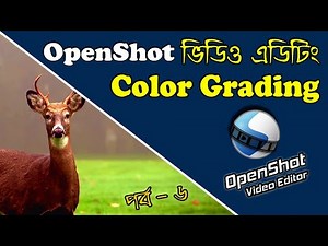 Color grading | Openshot Video Editor Tutorial | Openshot Tutorial | Openshot Video Editor #6