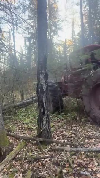 Timberjack 230 #detroitdiesel #skidder ‪@DeadWoodLogging6996‬ ‪@Husqvarna-Pit‬ ‪@farmlifewithnancy‬