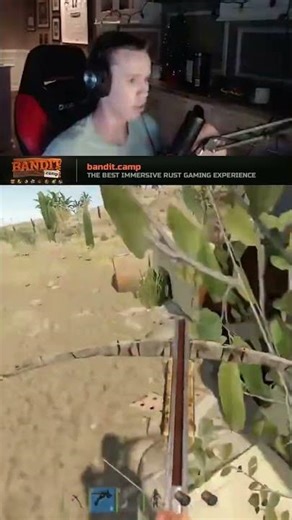 Karma #rust #rustgame