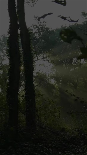 99 Names Of Allah 🌾 #99Namesofallah #Quran #islamicreminder #islamicvideo #UsaTiktok