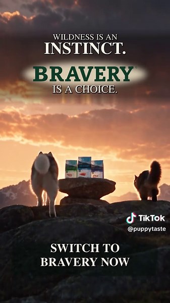 Bravery Pet Food — Hypoallergenic Monoprotein Dog & Cat Nutrition