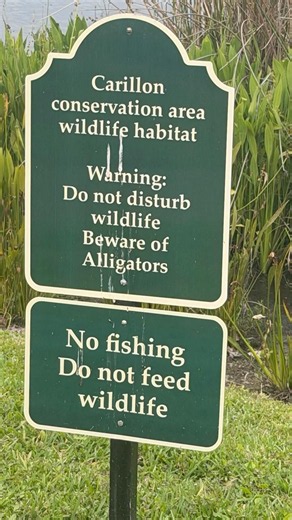 Incredible Bird Behaviors in the Wild