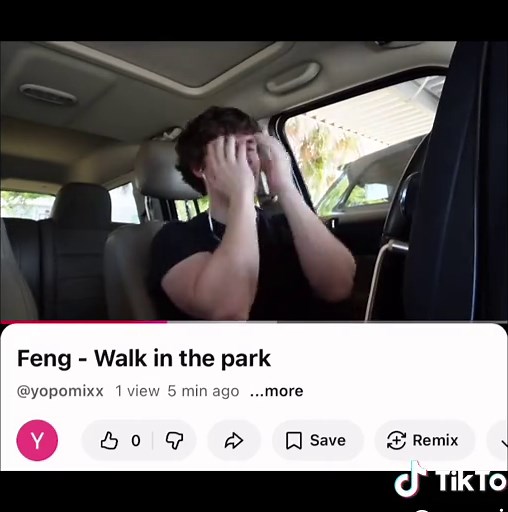 Exploring Feng: A Walk in the Park Experience