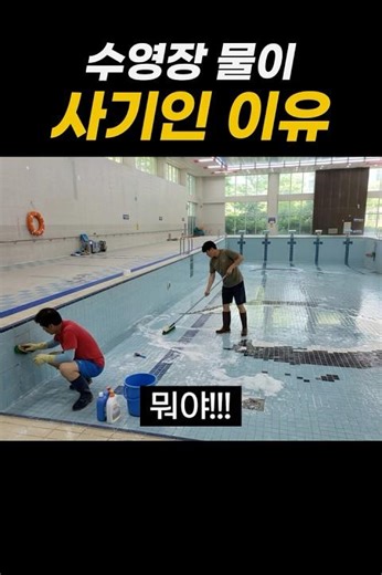수영장 물이 사기인 이유 #욕조 #목욕탕 #어항 #수영장 #shorts