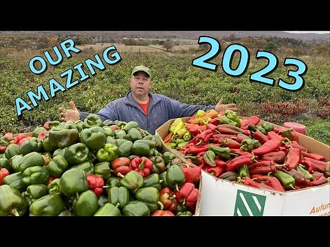 A VEGETABLE FARMERS ENTIRE 2023