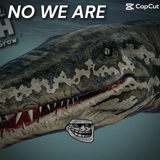 Feed and grow fish #edit bored to happy by ‪@KindlyKeyin‬