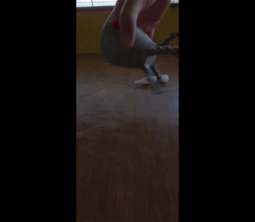 Osmia Articulated Omnidroid V4 – Robot Storage Container & Display Decor STL