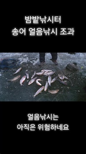 춘천 송어 낚시터에서 즐기는 밤밭 얼음 낚시