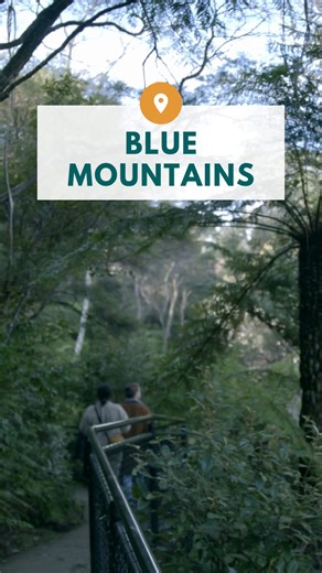 1.6K views · 55 reactions | Escape to the Majestic Blue Mountains: A...